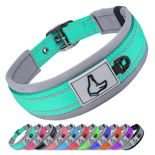 Reflective Padded Nylon Dog Collar – Heavy Duty & Adjustable