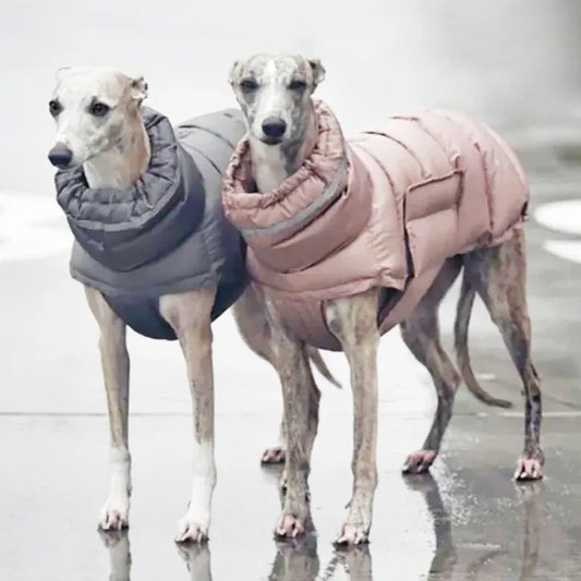Pet Winter Warm Down Jacket 🐾