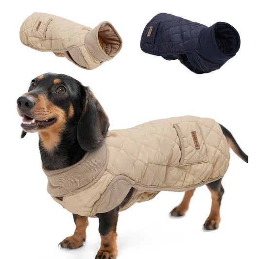 Winter Dog Coat for Dachshund – Water-Repellent Quilted Jacket for Small, Short-Leg Dogs 🐾