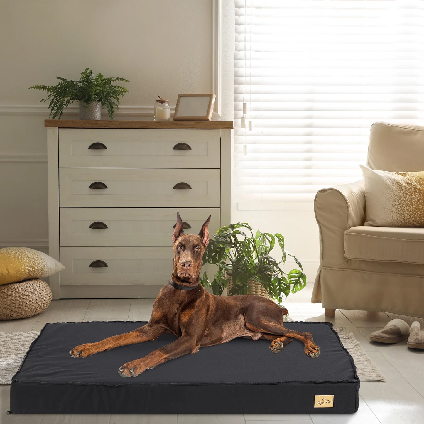 Orthopaedic Dog Bed for Dogs
