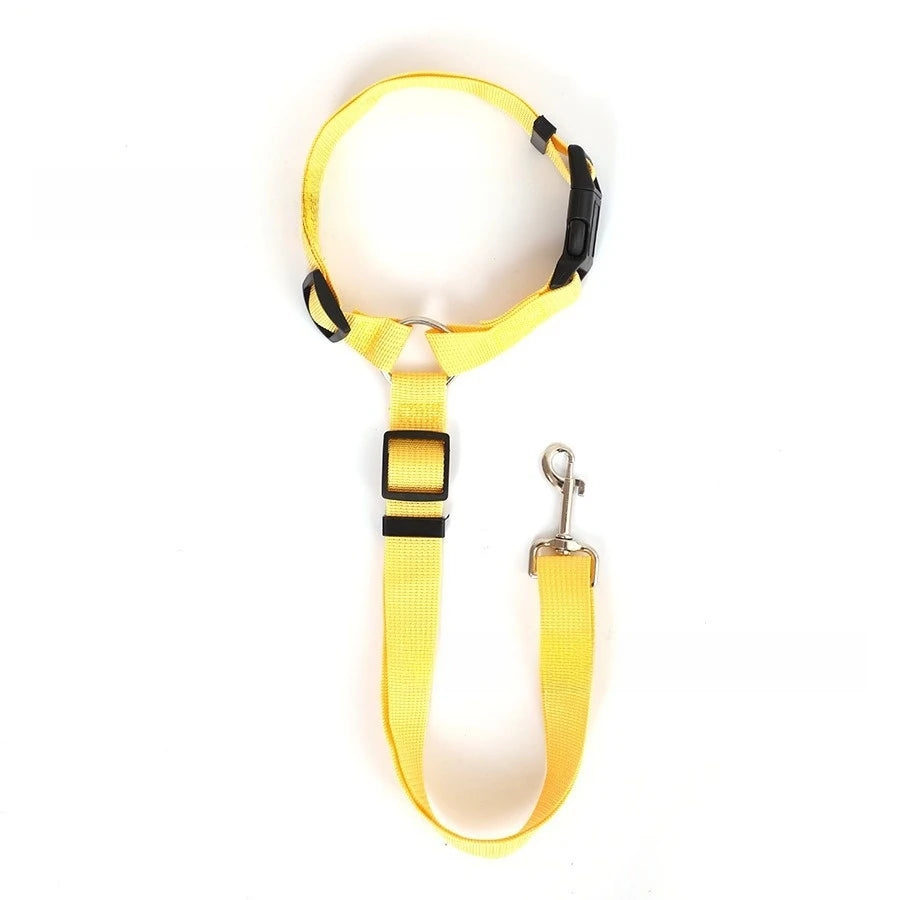 Two-in-One Pet Car Seat Belt &amp; Lead
