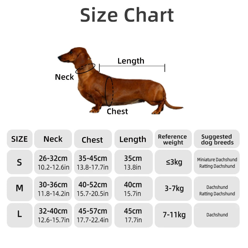 Winter Dog Coat for Dachshund – Water-Repellent Quilted Jacket for Small, Short-Leg Dogs 🐾