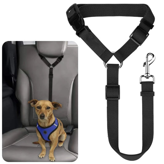 Two-in-One Pet Car Seat Belt &amp; Lead