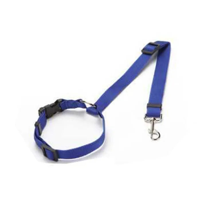 Two-in-One Pet Car Seat Belt &amp; Lead