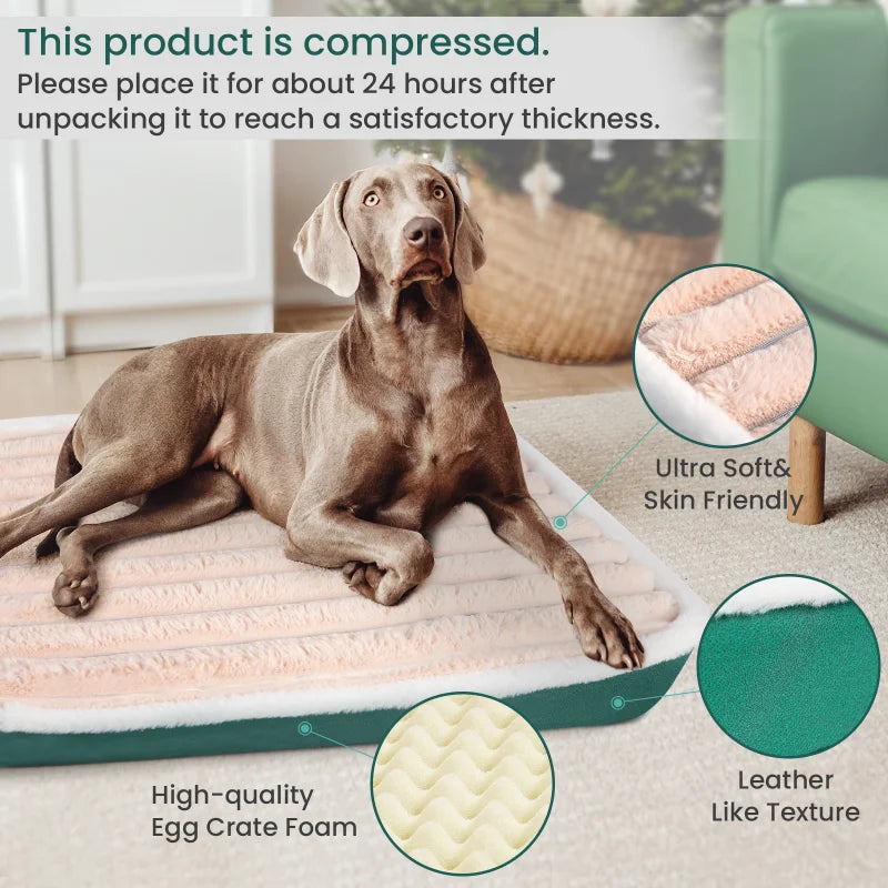 Washable Dog Mat
