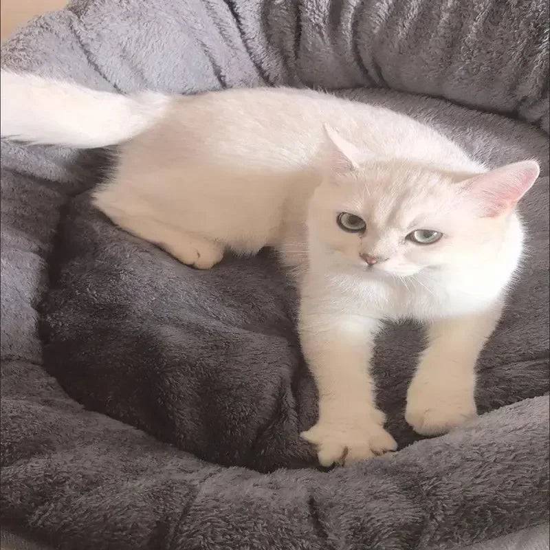 Luxury Soft Warm Dog Bed – Cushioned Comfort for Cosy Sleep