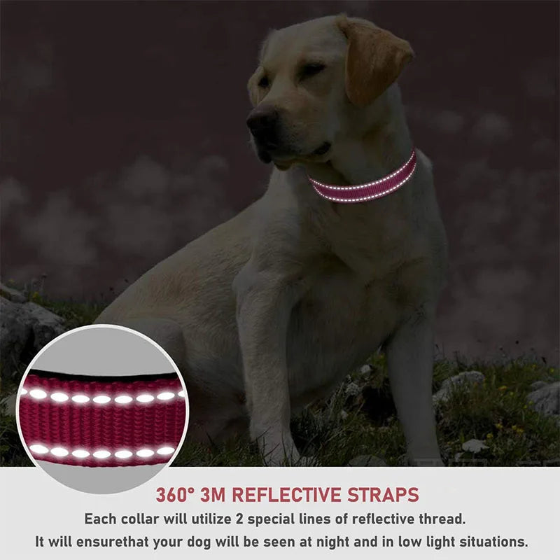 Reflective Adjustable Nylon Dog Collar with Buckle