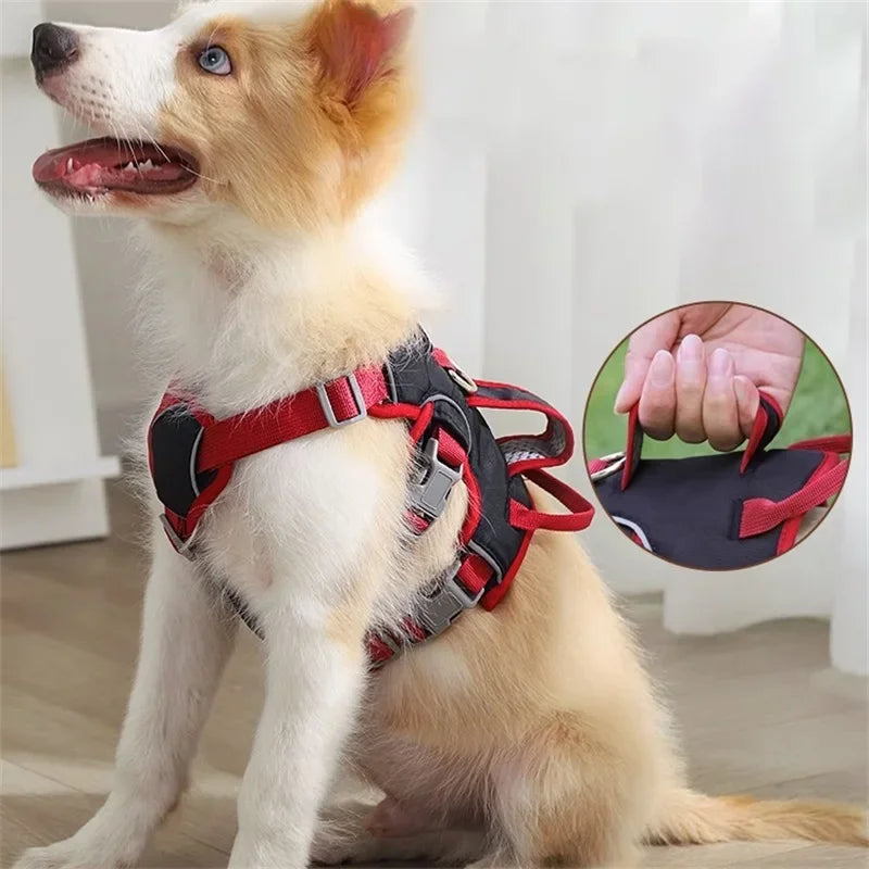 Durable No-Pull Dog Vest Harness – Reflective & Explosion-Proof Design