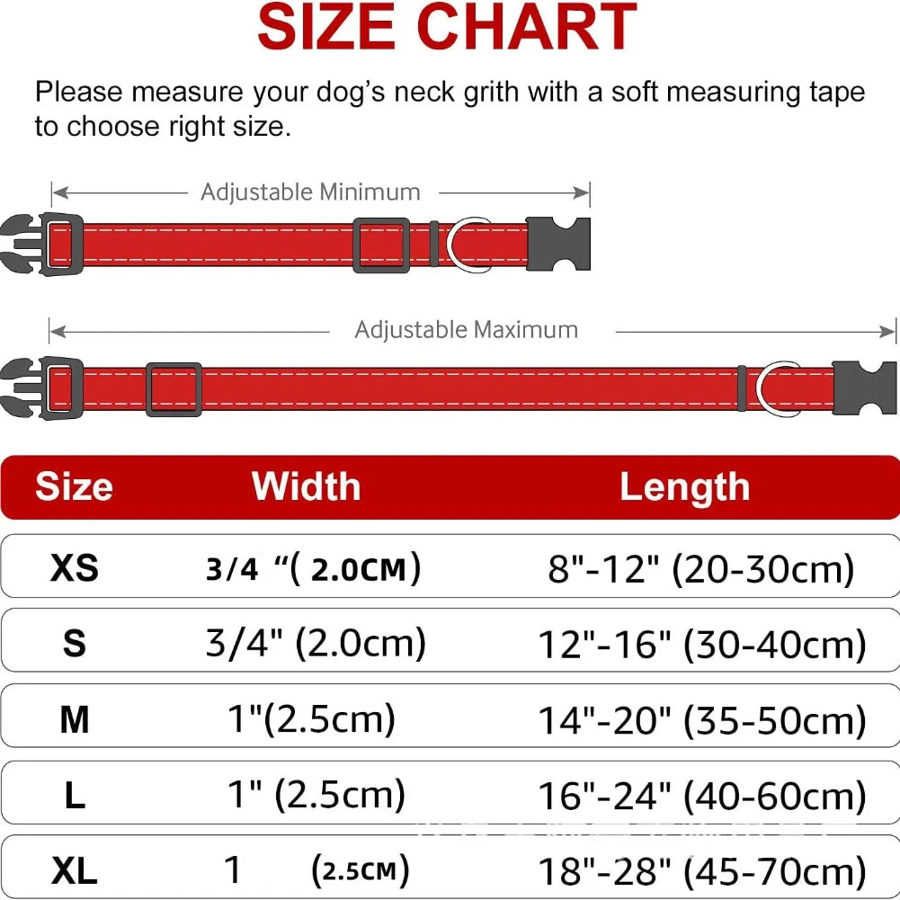 Adjustable Reflective Nylon Dog Collar – XS to XL