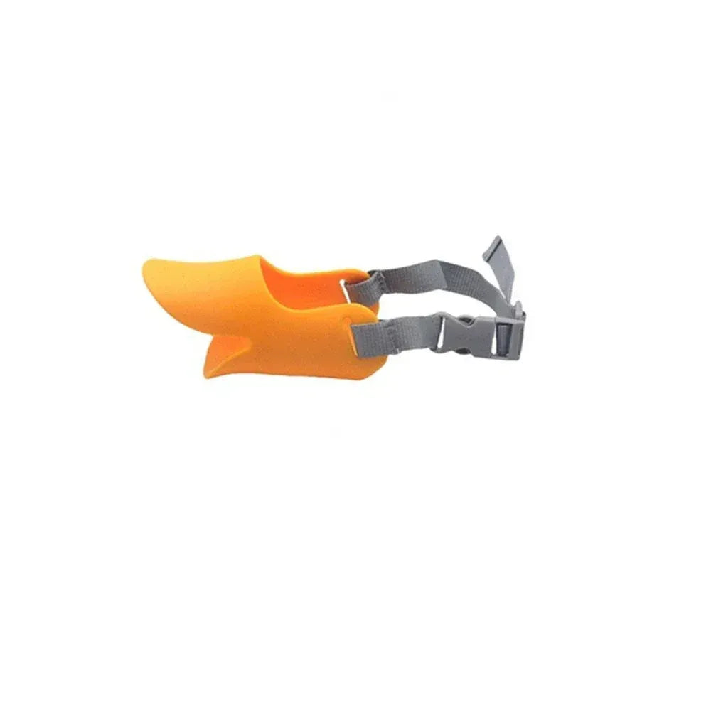 main.png