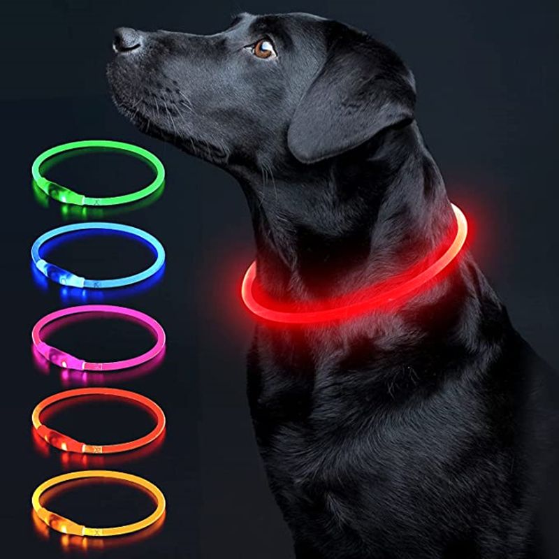 main.png