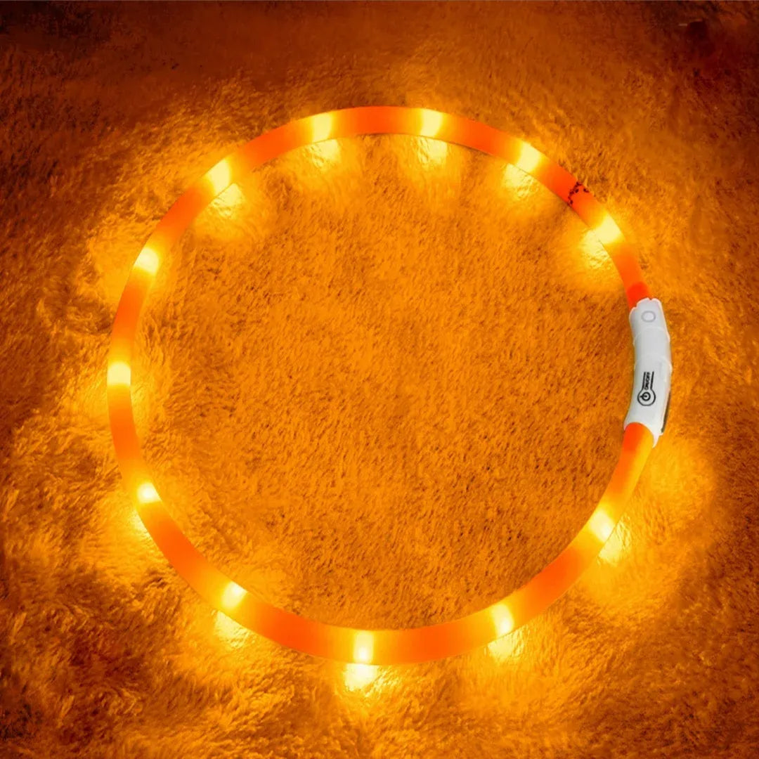main.png