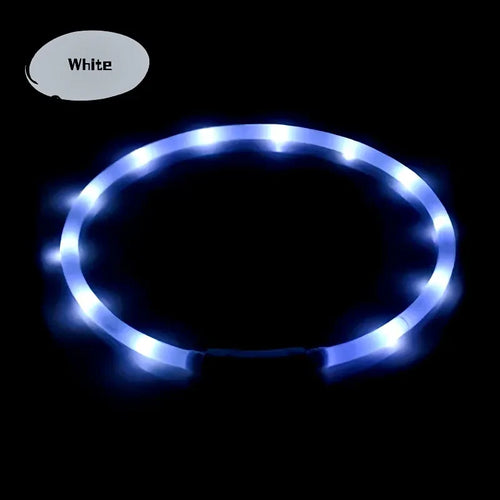 main.png