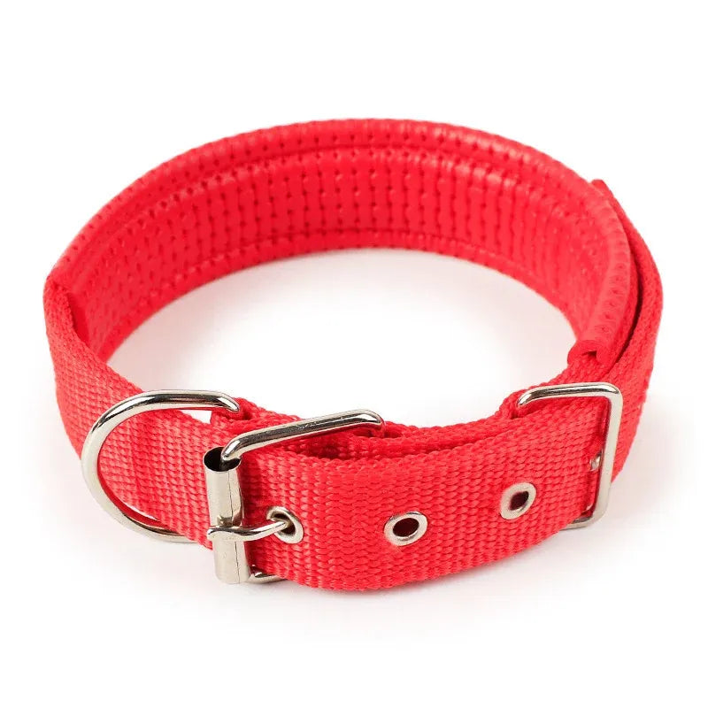 main.png