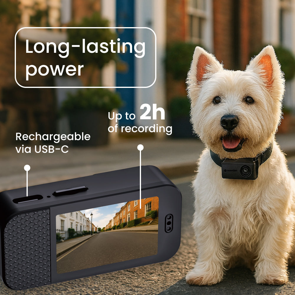 PetPOV HD Camera Collar - See the World from Your Pet's View