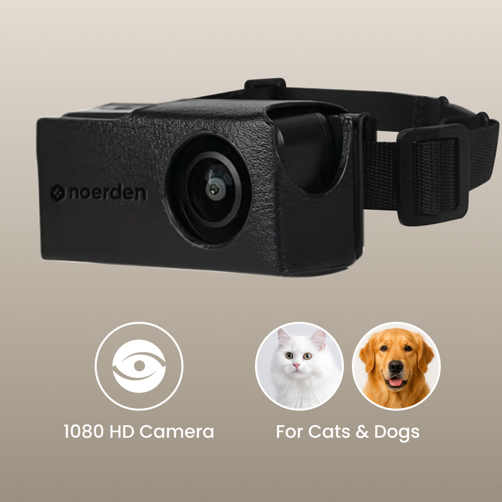 PetPOV HD Camera Collar - See the World from Your Pet's View