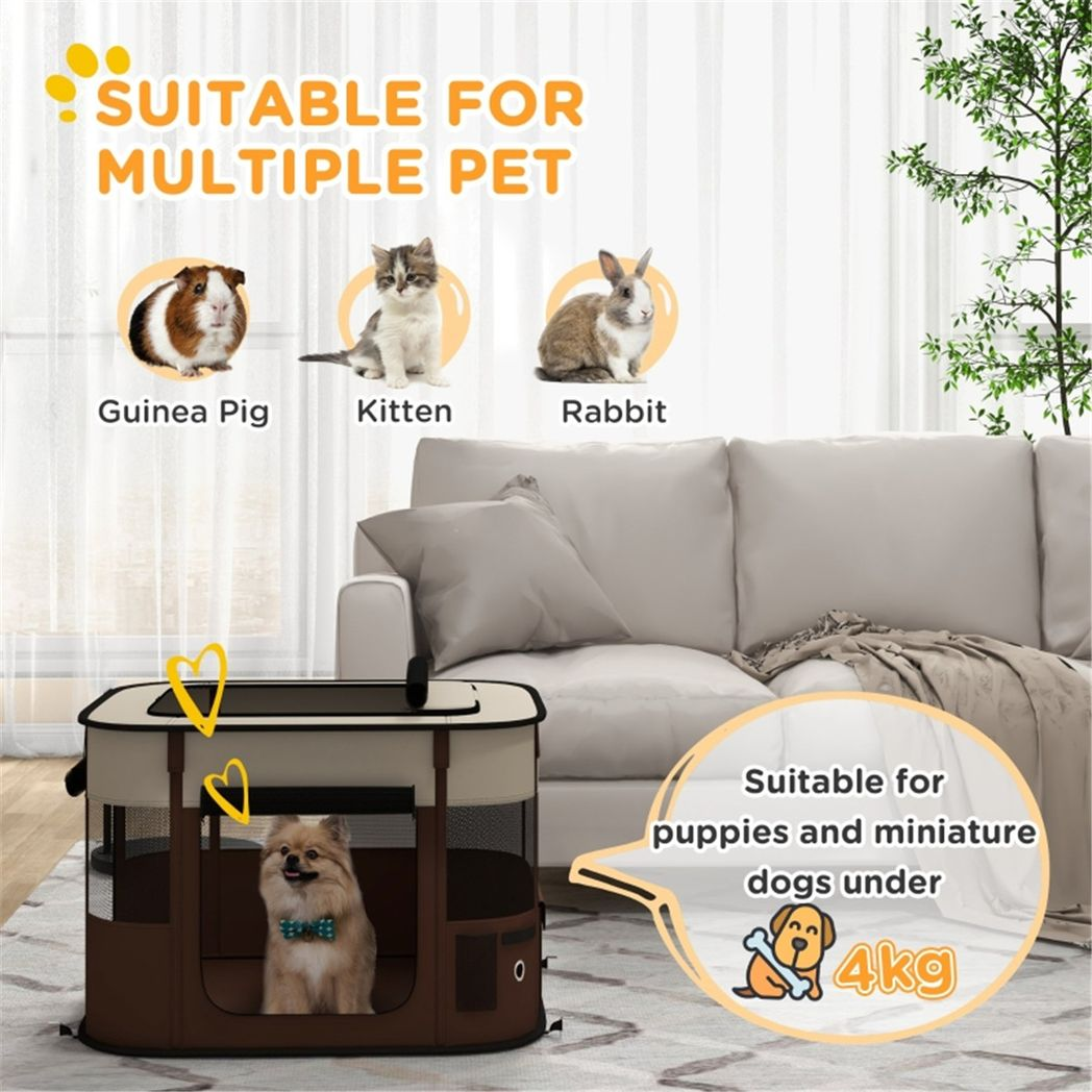 AirLite Pet Carrier: Breathable, Secure Travel for Cats & Dogs