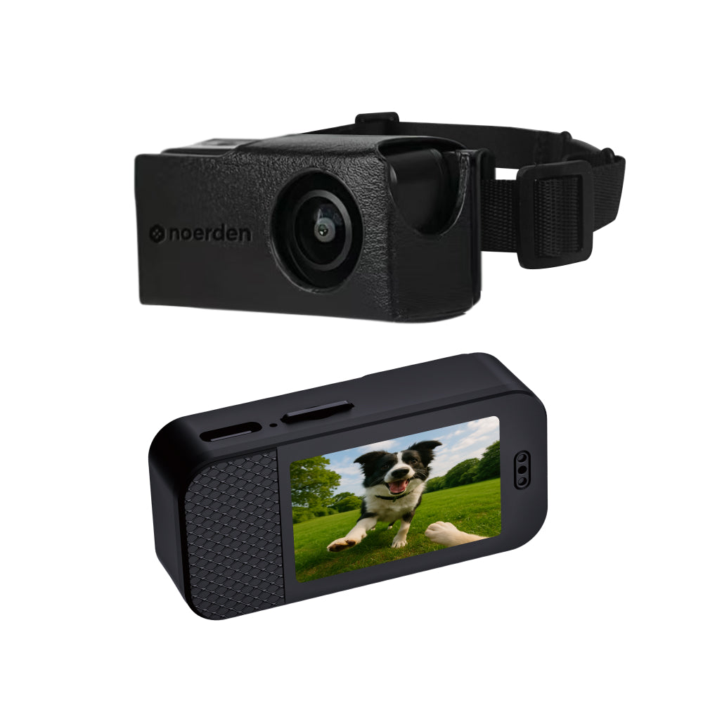 PetPOV HD Camera Collar - See the World from Your Pet's View