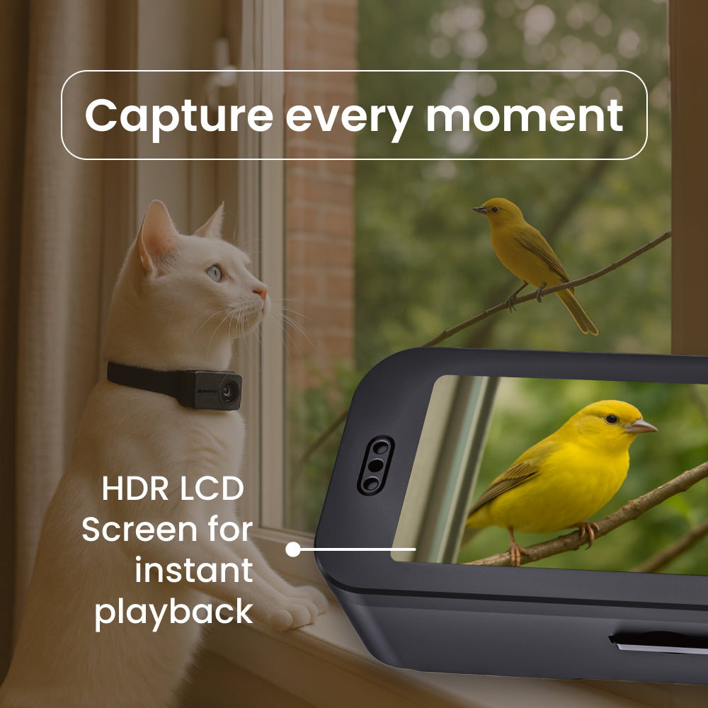 PetPOV HD Camera Collar - See the World from Your Pet's View