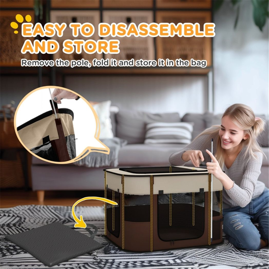 AirLite Pet Carrier: Breathable, Secure Travel for Cats & Dogs