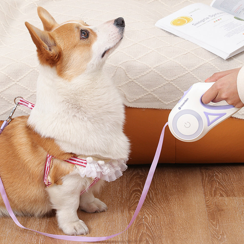 Flexi Leash Pro: LED Night-Glow Retractable Leash for Safer Walks